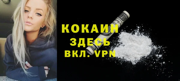 шишки Белокуриха