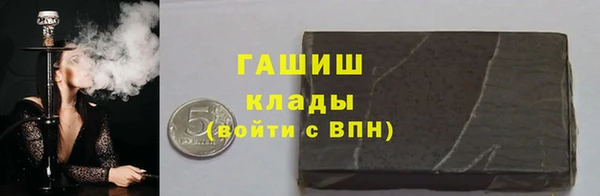 шишки Белокуриха