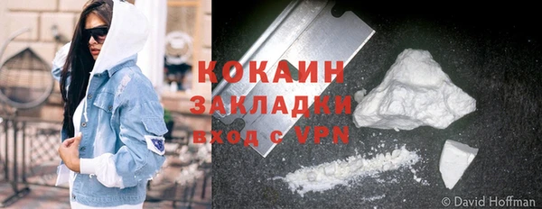 шишки Белокуриха