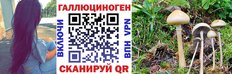 Галлюциногенные грибы мухоморы Соль-Илецк
